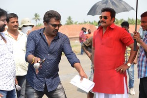 Chuttalabbayi New Working Photos